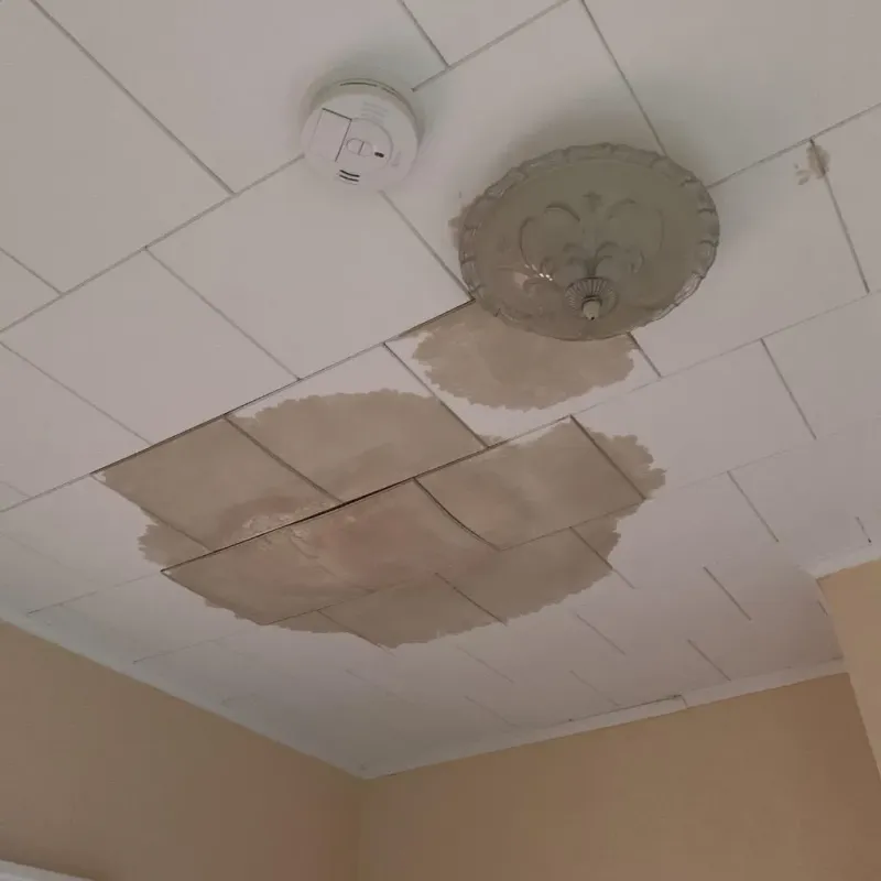 Ceiling Water Damage Repair in Yakutat City and Borough, AK