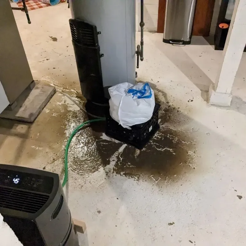 Sewage Backup Cleanup Service in Yakutat City and Borough, AK